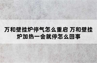 万和壁挂炉停气怎么重启 万和壁挂炉加热一会就停怎么回事